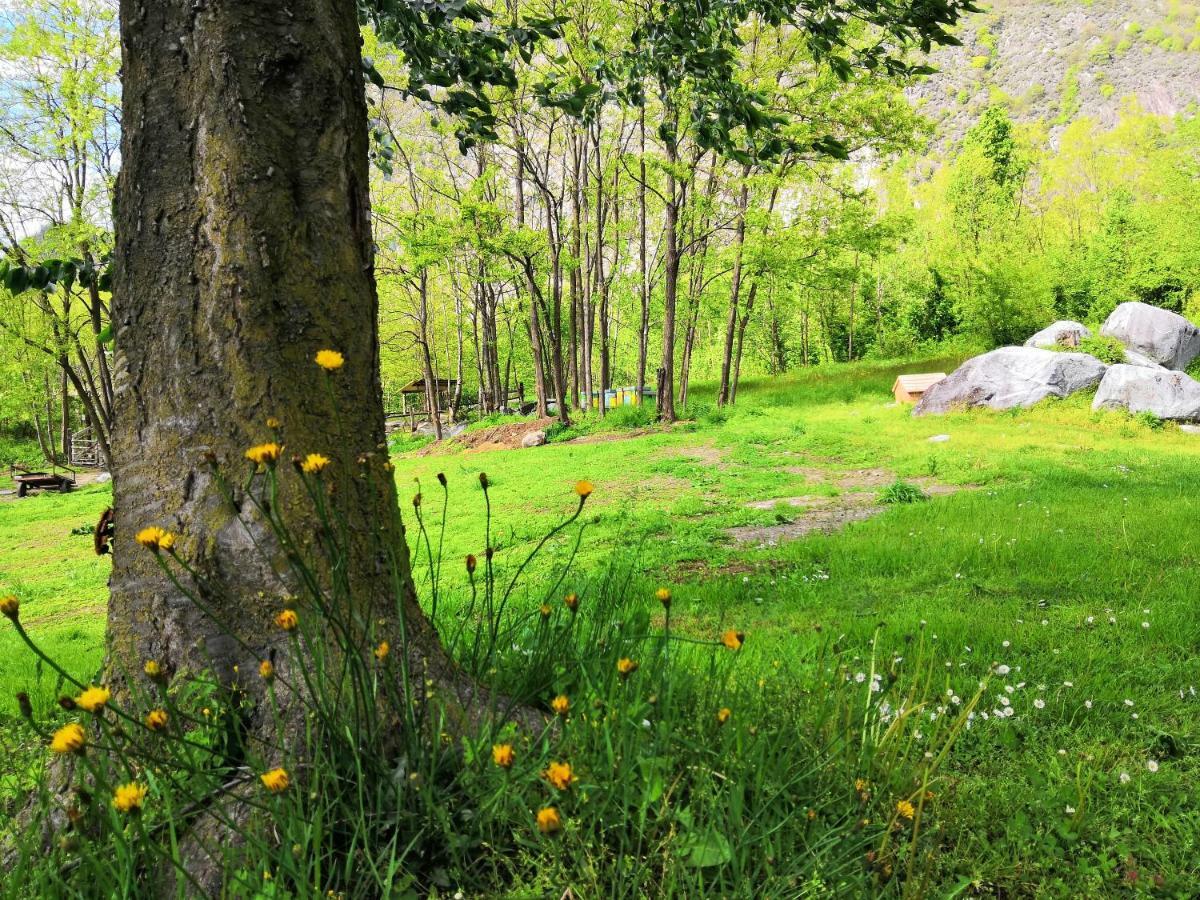 Agriturismo Val Codera Verceia Экстерьер фото