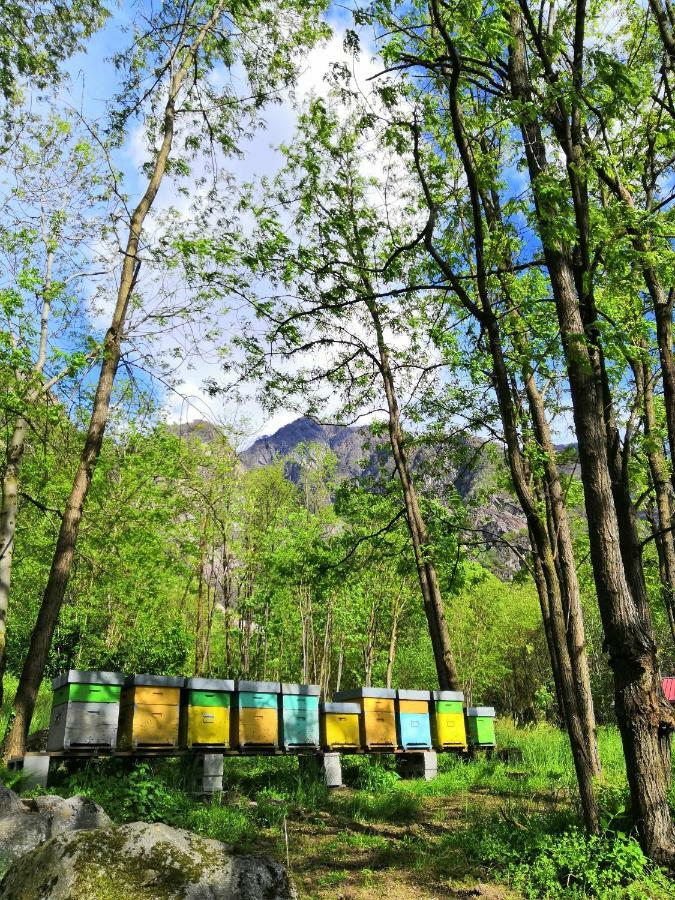 Agriturismo Val Codera Verceia Экстерьер фото