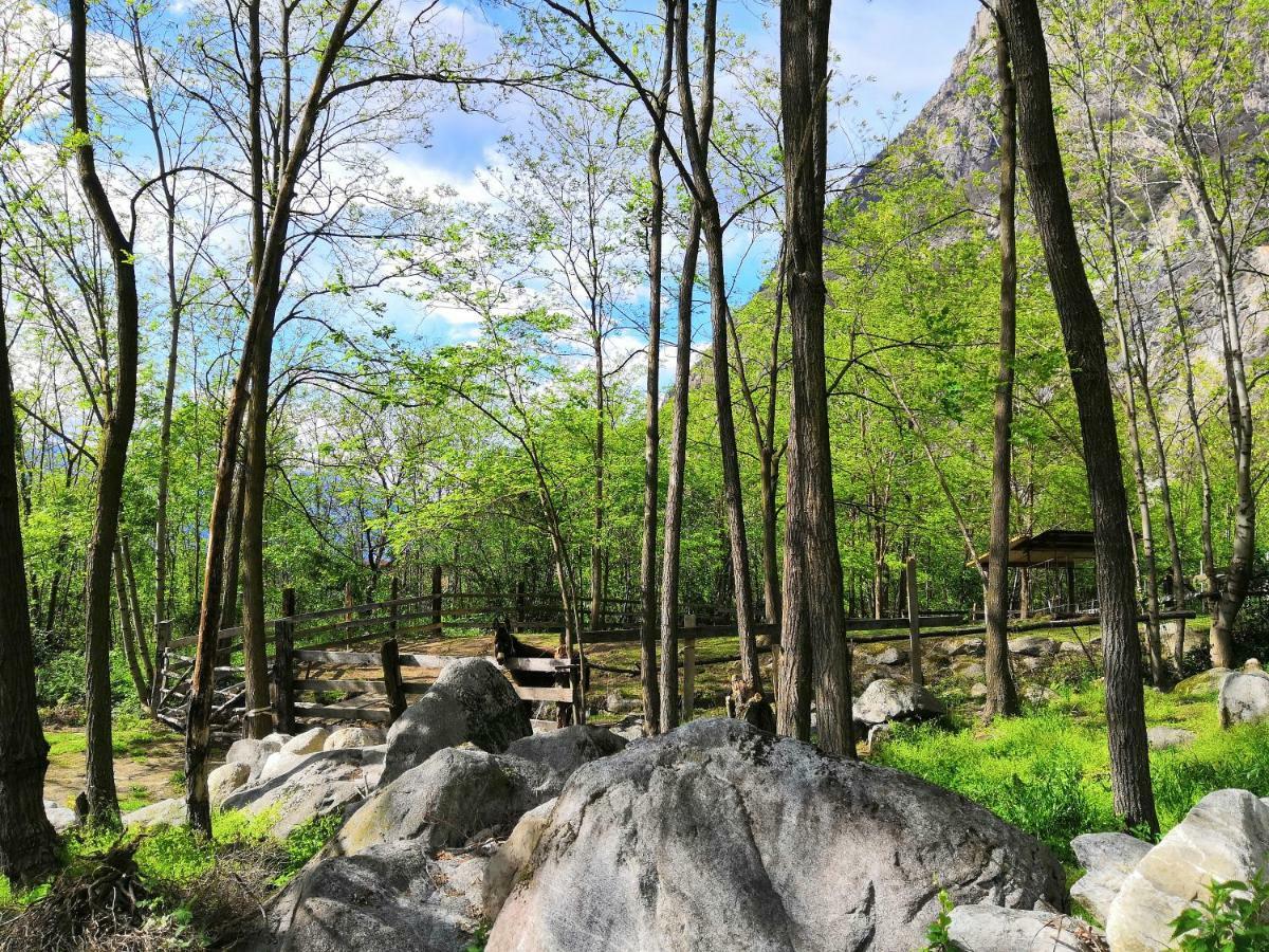 Agriturismo Val Codera Verceia Экстерьер фото