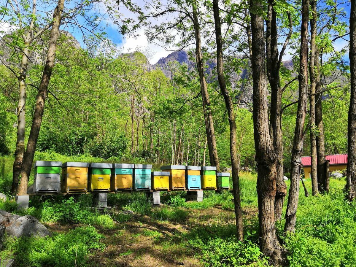 Agriturismo Val Codera Verceia Экстерьер фото