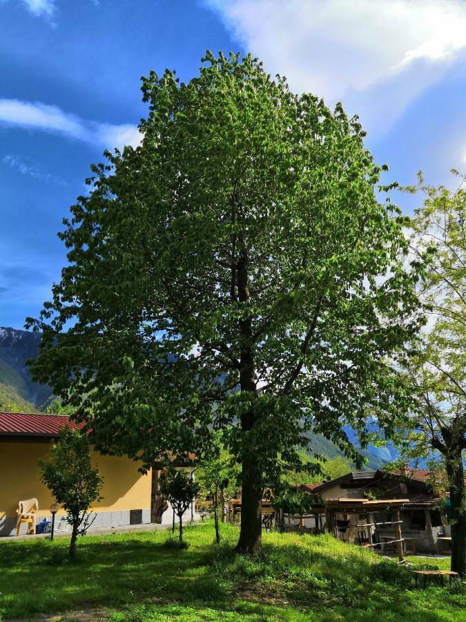 Agriturismo Val Codera Verceia Экстерьер фото